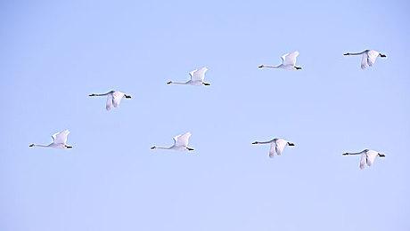 2023年夏季游戏节 将有3-4款重磅消息